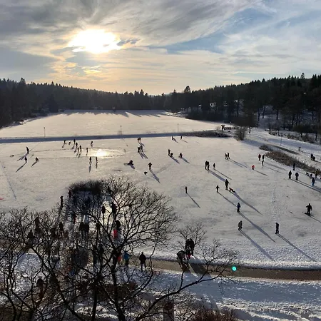 Sweet Harz Appartement