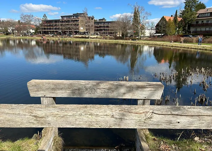 Sweet Harz 公寓 戈斯拉尔